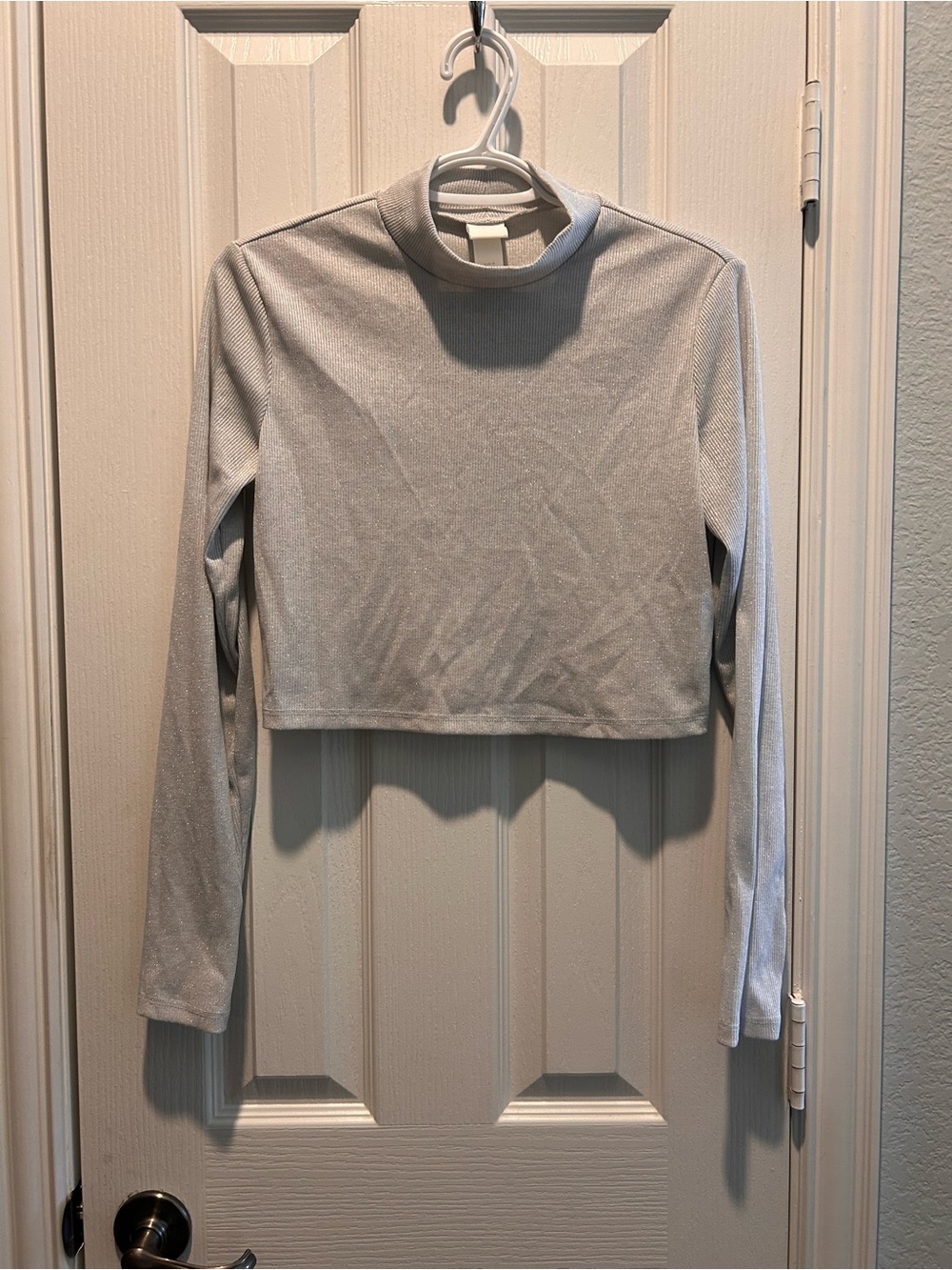 H&M Light Silver Metallic Long-Sleeve Crop Top